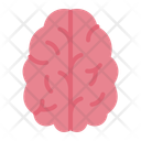 پیش‌نمایش فایل brain-12120266 از پک سلامت روان