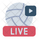 پیش‌نمایش فایل livestream-12124368 از پک والیبال