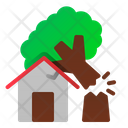 پیش‌نمایش فایل fallen-tree-1538493 از پک تخت بلایا