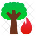 پیش‌نمایش فایل forest-fire-1538471 از پک تخت بلایا