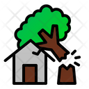 پیش‌نمایش فایل fallen-tree-1538515 از پک خطی پُر بلایا