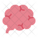 پیش‌نمایش فایل brain-12395953 از پک اندام انسان