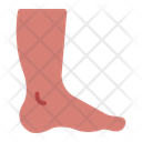پیش‌نمایش فایل foot-12395958 از پک اندام انسان