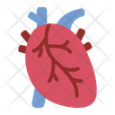 پیش‌نمایش فایل heart-12395959 از پک اندام انسان