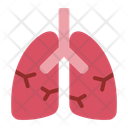 پیش‌نمایش فایل lungs-12395965 از پک اندام انسان
