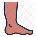پیش‌نمایش فایل foot-12395983 از پک اندام انسان