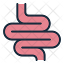 پیش‌نمایش فایل intestine-12395985 از پک اندام انسان