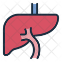 پیش‌نمایش فایل liver-12395989 از پک اندام انسان