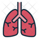 پیش‌نمایش فایل lungs-12395990 از پک اندام انسان