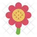 پیش‌نمایش فایل flower-12799527 از پک سیسونها فاور