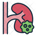 پیش‌نمایش فایل kidney-13076514 از پک سرطان