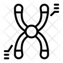 پیش‌نمایش فایل chromosome-13407694 از پک ژنتیک