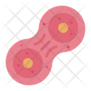 پیش‌نمایش فایل cell-division-13407743 از پک ژنتیک