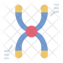پیش‌نمایش فایل chromosome-13407744 از پک ژنتیک