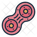 پیش‌نمایش فایل cell-division-13407768 از پک ژنتیک