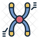 پیش‌نمایش فایل chromosome-13407769 از پک ژنتیک
