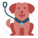 پیش‌نمایش فایل dog-guide-14526645 از پک معلولیت و توان‌یابی