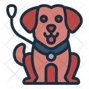 پیش‌نمایش فایل dog-guide-14526620 از پک معلولیت و توان‌یابی