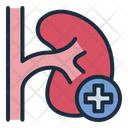پیش‌نمایش فایل kidney-14526974 از پک چکاپ و معاینه پزشکی