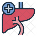 پیش‌نمایش فایل liver-14526975 از پک چکاپ و معاینه پزشکی
