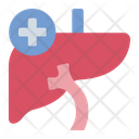 پیش‌نمایش فایل liver-14526950 از پک چکاپ و معاینه پزشکی