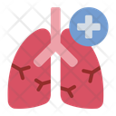 پیش‌نمایش فایل lungs-14526951 از پک چکاپ و معاینه پزشکی
