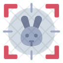 پیش‌نمایش فایل rabbit-hunting-14526755 از پک شکار