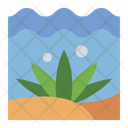 آیکن