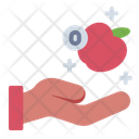 آیکن