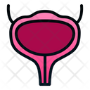 پیش‌نمایش فایل bladder-1943886 از پک اندام انسان