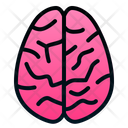 پیش‌نمایش فایل brain-1943877 از پک اندام انسان