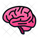 پیش‌نمایش فایل brain-1943878 از پک اندام انسان