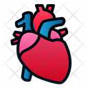پیش‌نمایش فایل heart-1943875 از پک اندام انسان