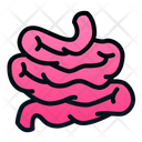 پیش‌نمایش فایل intestine-1943887 از پک اندام انسان