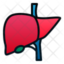 پیش‌نمایش فایل liver-1943874 از پک اندام انسان