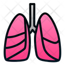 پیش‌نمایش فایل lungs-1943876 از پک اندام انسان