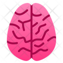 پیش‌نمایش فایل brain-1943857 از پک اندام انسان
