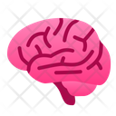 پیش‌نمایش فایل brain-1943858 از پک اندام انسان