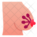 پیش‌نمایش فایل breast-1943865 از پک اندام انسان
