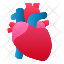 پیش‌نمایش فایل heart-1943855 از پک اندام انسان