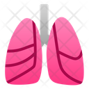 پیش‌نمایش فایل lungs-1943856 از پک اندام انسان