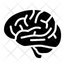 پیش‌نمایش فایل brain-1943836 از پک اندام انسان