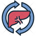 پیش‌نمایش فایل liver-detox-16628754 از پک سوخت‌وساز بدن