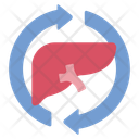 پیش‌نمایش فایل liver-detox-16628729 از پک سوخت‌وساز بدن