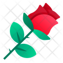 پیش‌نمایش فایل rose-1982834 از پک عشق