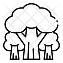 پیش‌نمایش فایل forest-17056806 از پک طبیعت