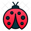 پیش‌نمایش فایل lady-bug-2027249 از پک بهار