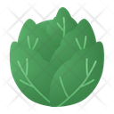 پیش‌نمایش فایل cabbage-4259023 از پک سبزی و میوه