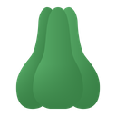پیش‌نمایش فایل chayote-4258999 از پک سبزی و میوه