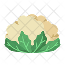 پیش‌نمایش فایل cauliflower-4259064 از پک سبزی و میوه